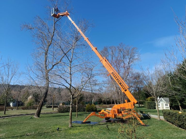 Örümcek Platform Kiralama